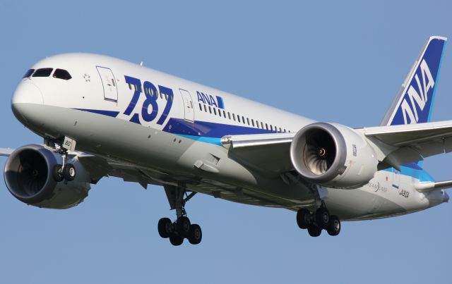 Boeing 787-8 (JA810A)