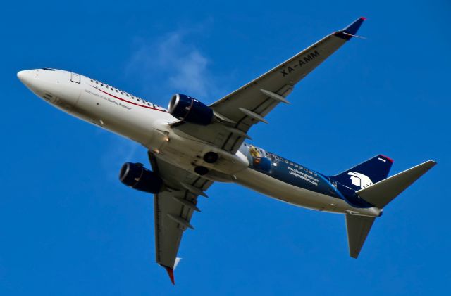 Boeing 737-800 (XA-AMM)