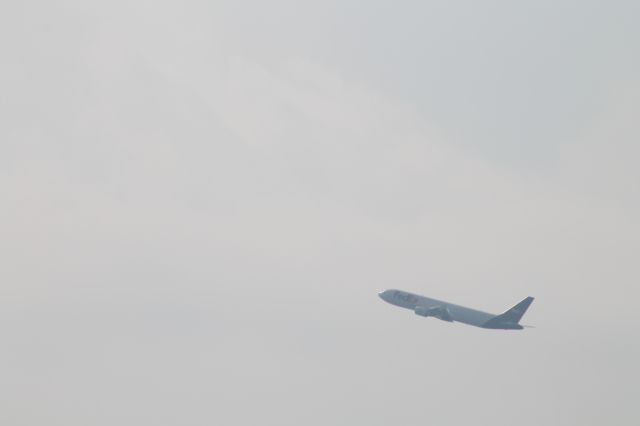 BOEING 767-300 — - FedEx 767, gear up, flies away from Logan.