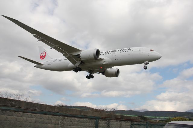 Boeing 787-8 (JAL97)
