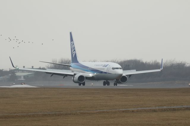 Boeing 737-800 (JA82AN) - 06 March 2016:HND-HKD.
