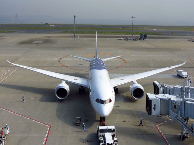 Boeing 787-8 (JA802A)