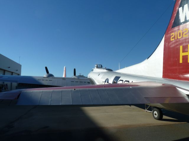 Boeing B-17 Flying Fortress (N5017N) - Aluminum Overcast 11/8/2013 KCLT - Carolina Aviation Museum