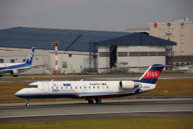 Canadair Regional Jet CRJ-100 (JA02RJ)