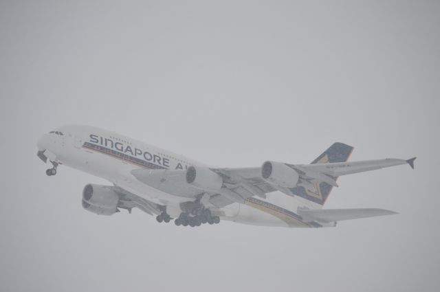 Airbus A380-800 (9V-SKA) - Dans la neige à Zurich le 29 décembre 2014