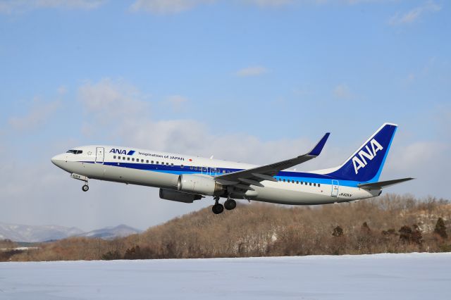 Boeing 737-800 (JA62AN) - January 19th 2019:HKD-ITM.