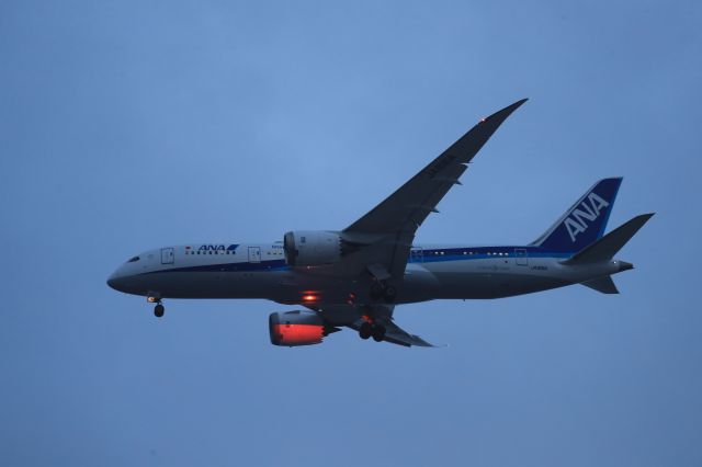 Boeing 787-8 (JA816A) - July 25th 2019:HND-HKD.