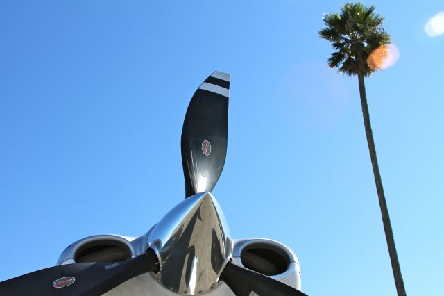 Cirrus SR-22 (N811JT) - I had just flown to Catalina for lunch and saw this picture when I chocked the airplane.