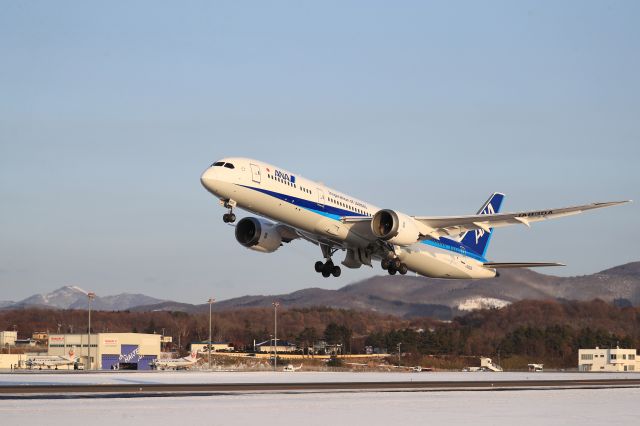 Boeing 787-9 Dreamliner (JA830A) - December 29th 2019:HKD-HND.