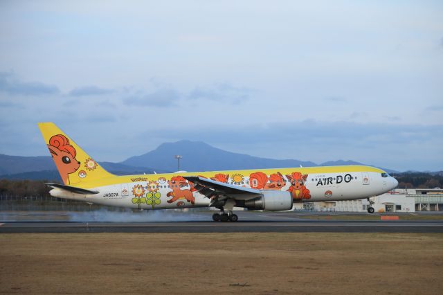 BOEING 767-300 (JA607A) - November 16, 2024:HND-HKD.