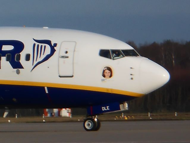 Boeing 737-800 (EI-DLE)
