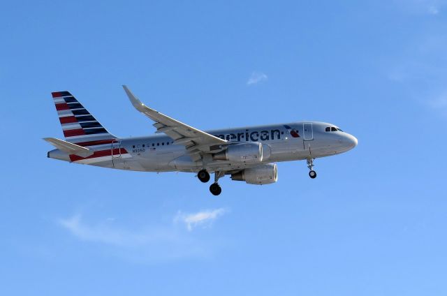 Airbus A319 (N9015D)