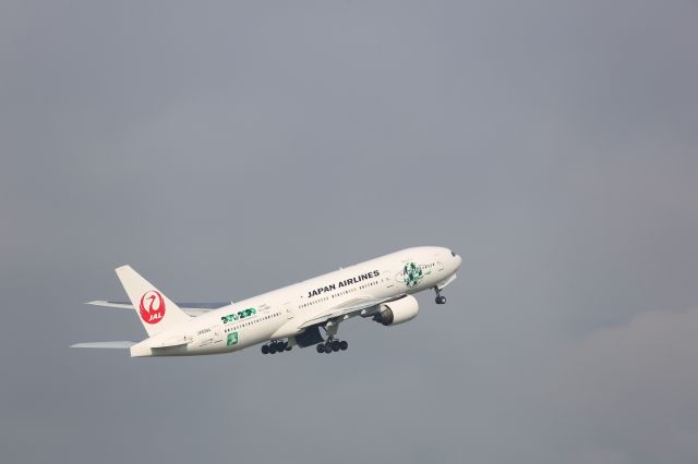 Boeing 777-200 (JA8984)