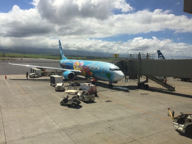 Boeing 737-800 (N560AS) - The Spirit of the Islands at the gate in Kahului (PHOG) after coming in from the mainland (KSJC)