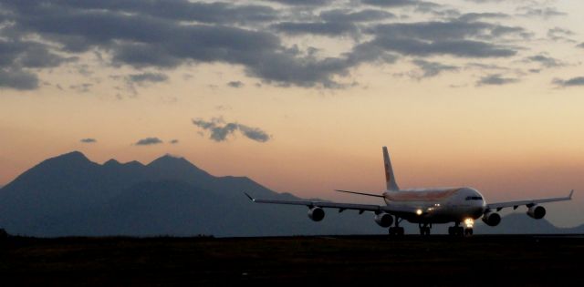 Airbus A340-300 (EC-GLE)