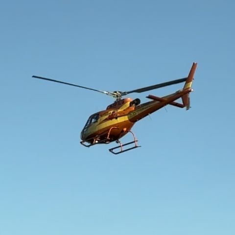 Eurocopter AS-350 AStar (N391LG)