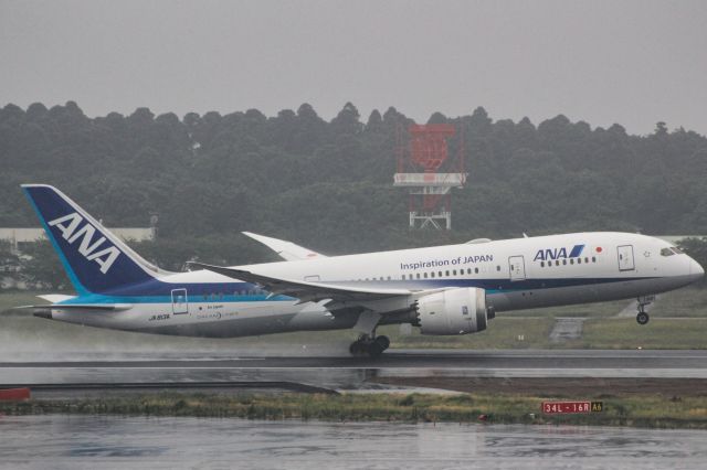 Boeing 787-8 (JA813A)