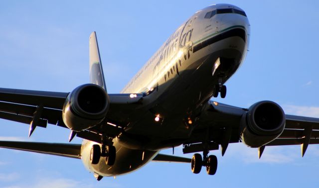 Boeing 737-800 (N517AS)