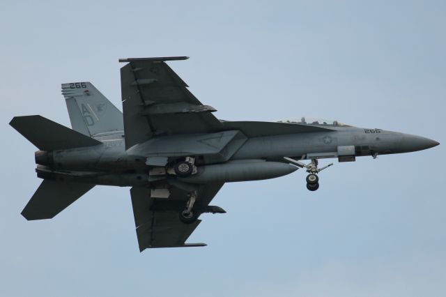 McDonnell Douglas FA-18 Hornet —