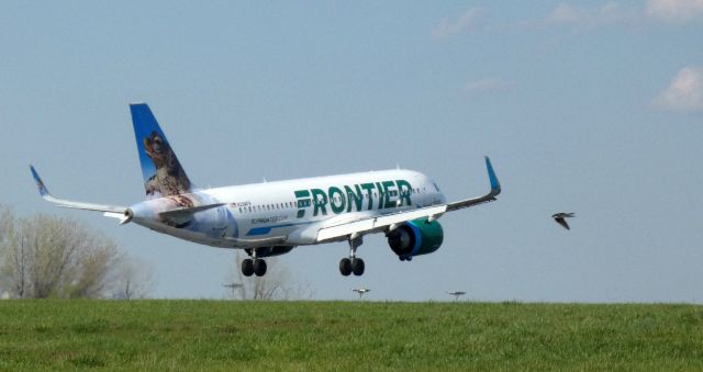 Airbus A320neo (N394FR) - About to touch down is this 2022 Frontier Airlines Airbus 320-251N with "Rivero" the Puerto Rican Crested Toad looking on in the Spring of 2023.