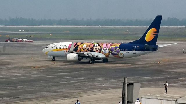 Boeing 737-800 (VT-JGV) - Attractive Disney Themed Livery