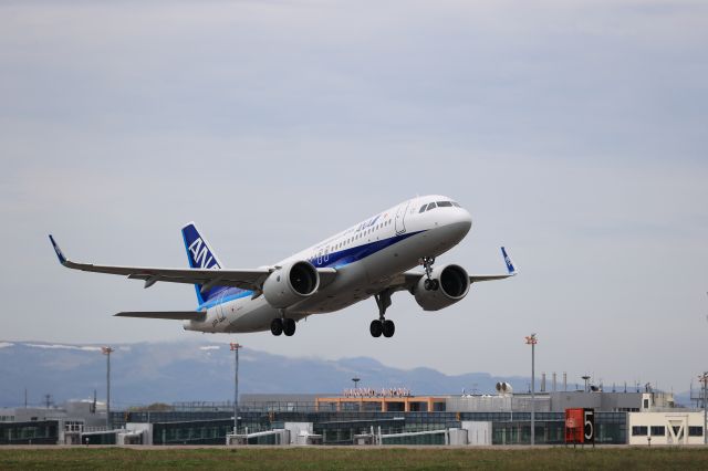 Airbus A320 (JA217A) - May 15th 2021:HKD-HND.