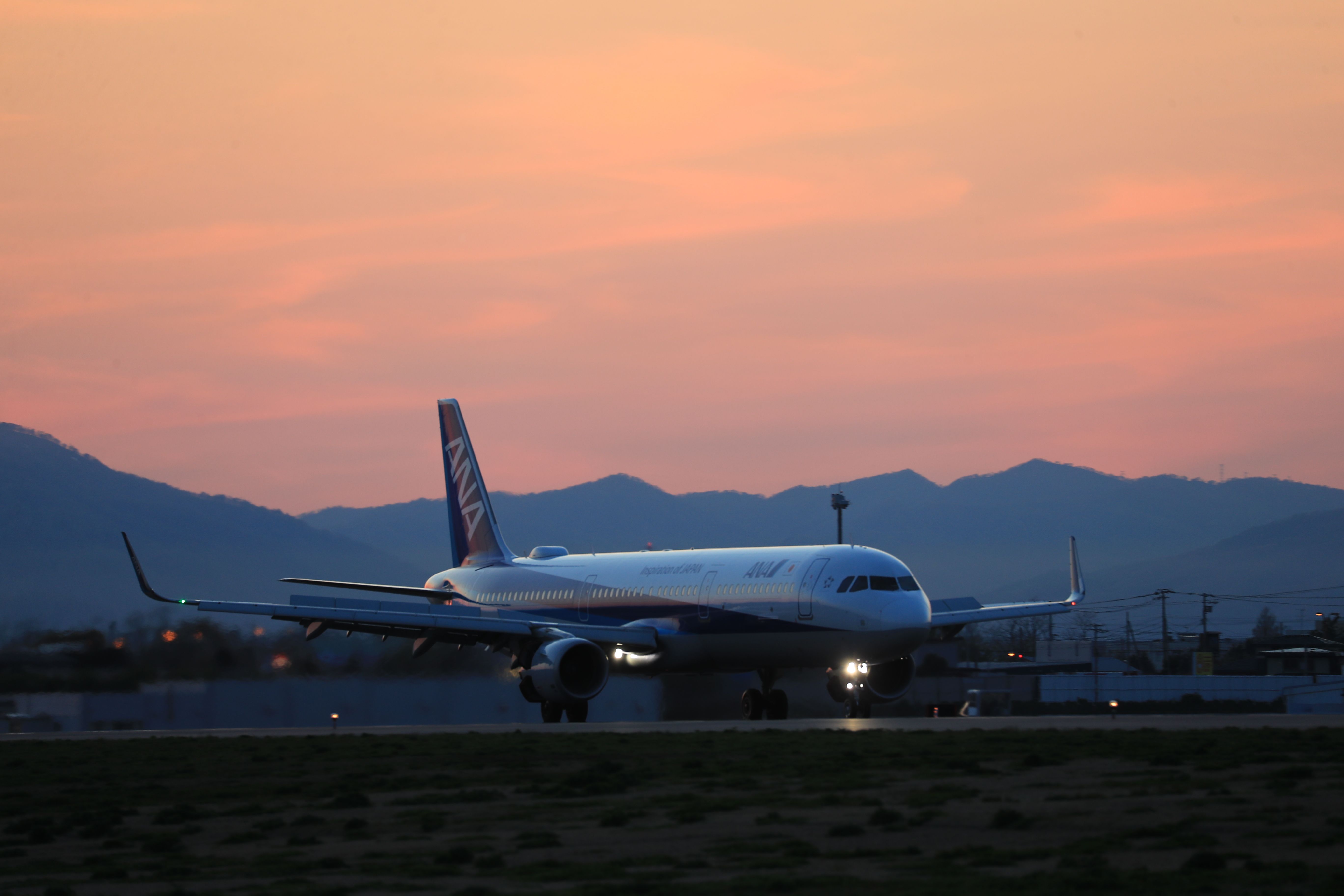 Airbus A321 (JA113A) - May 13th 2019:HND-HKD.