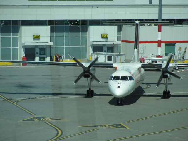 de Havilland Dash 8-100 —