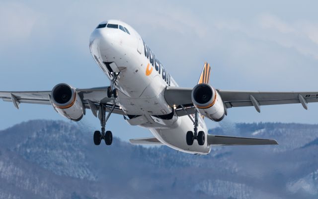 Airbus A320 (B-50006) - タイガーエア 台湾 (Tigerair Taiwan) / Airbus A320-232br /Feb.19.2017 Hakodate Airport [KUH/RJCK] JAPAN