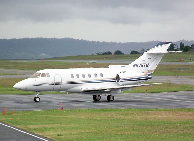 Hawker 800 (N875TM)