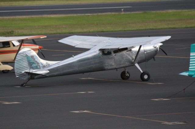 Cessna 170 (N2597D)