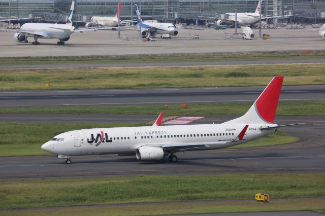 Boeing 737-800 (JA314J)