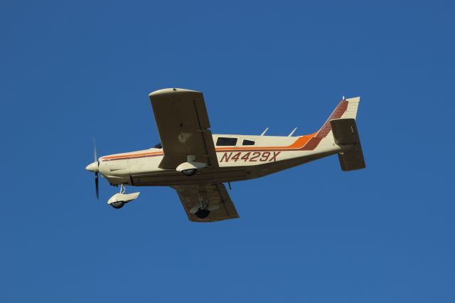 Piper Saratoga (N4429X)