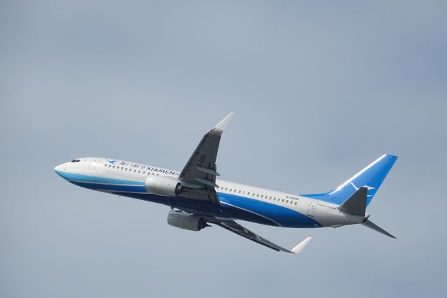 Boeing 737-800 (B-6490)