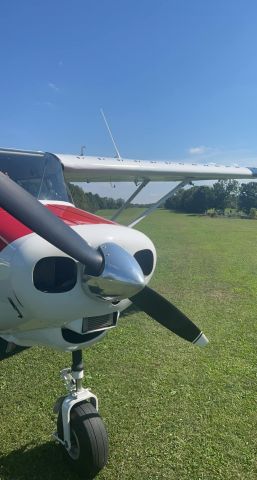 Piper PA-22 Tri-Pacer (N1646P) - Grass Strip. Well Maintained.