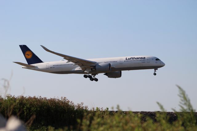 Airbus A350-900 (D-AIXC) - Lufthansa A350-900 Landing on runway 10C at Chicago O'hare from Munich