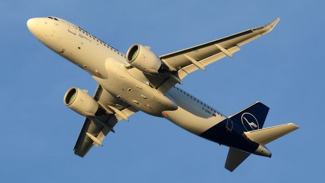 Airbus A320neo (D-AINO) - Nov 1. 2024