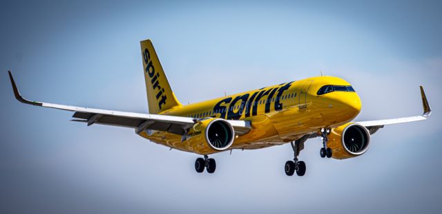 Airbus A320neo (N966NK) - landing at lax
