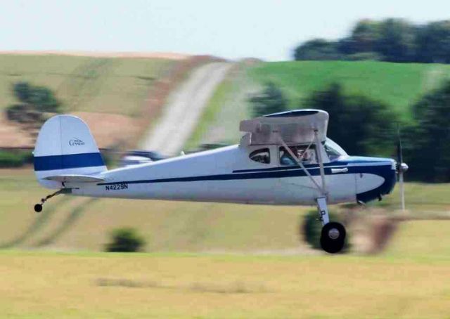 Cessna 140 (N4229N)