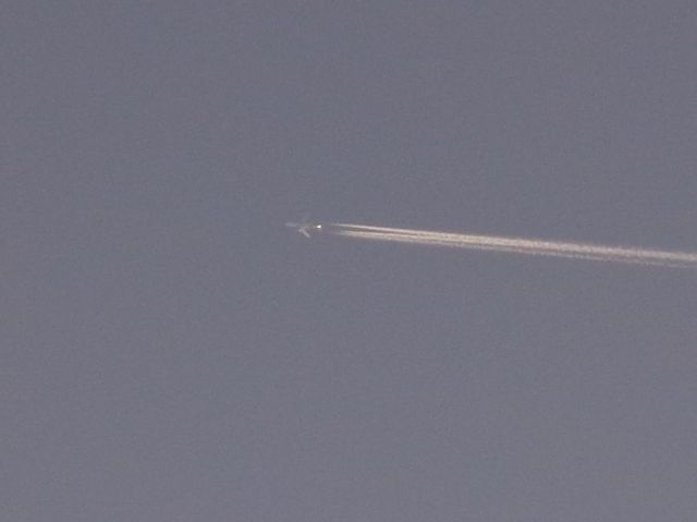 Boeing 787-8 (N780AV) - N780AV FL410