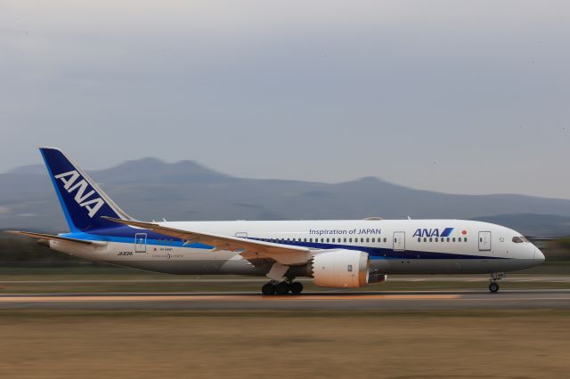 Boeing 787-8 (JA831A) - May 5th 2021:HKD-HND.