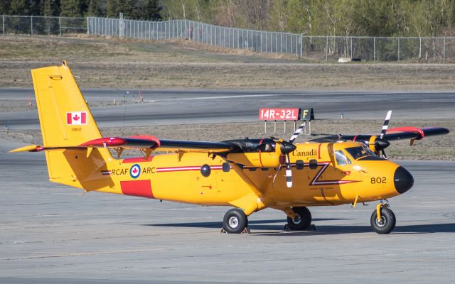 De Havilland Canada Twin Otter (N13802)