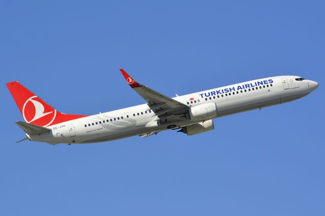 Boeing 737-900 (TC-JYG)