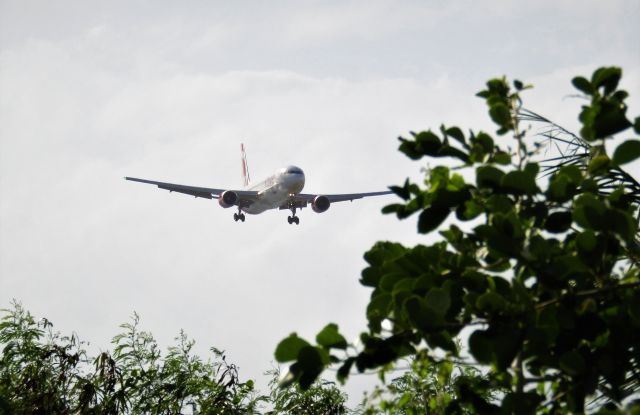 BOEING 767-300 (C-GDUZ)