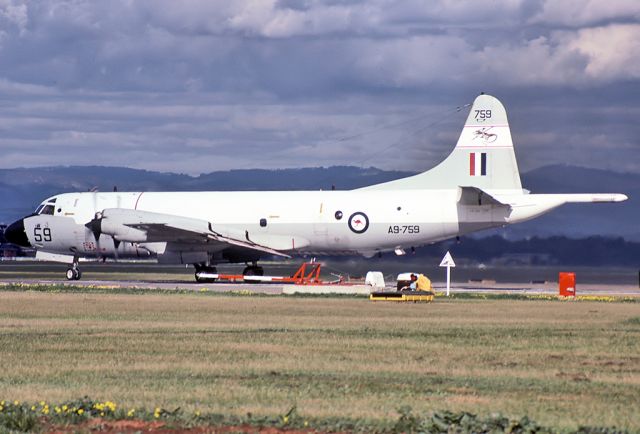 Lockheed P-3 Orion (A9759) - AUSTRALIA - AIR FORCE - LOCKHEED P-3C ORION - REG A9-759 (CN 285D-5674) - EDINBURGH RAAF BASE ADELAIDE SA. AUSTRALIA - YPED (4/7/1983)