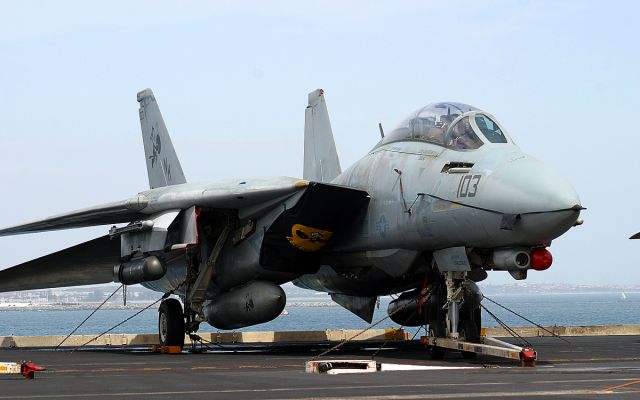 Grumman F-14 Tomcat —