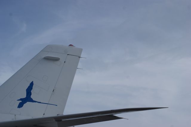 Dassault Falcon 50 (VP-BMB) - Tail shot of a Dassault Falcon 900 prior to boarding for a large group of people