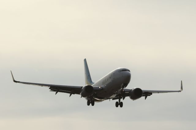 Boeing 737-700 (JA15AN) - 09 March 2016: HND-HKD.