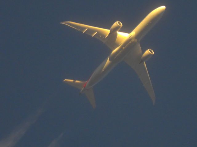 Boeing 787-9 Dreamliner (N828AA) - AAL21br /LHR-DFWbr /11/12/2024