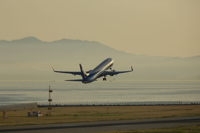 Boeing 737-800 (JA69AN)